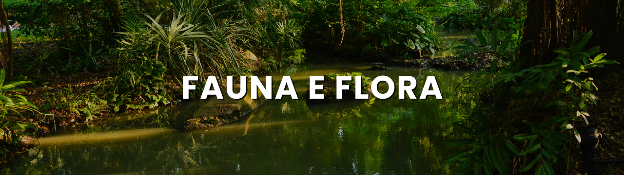 Capas-de-Categoria-_blog_