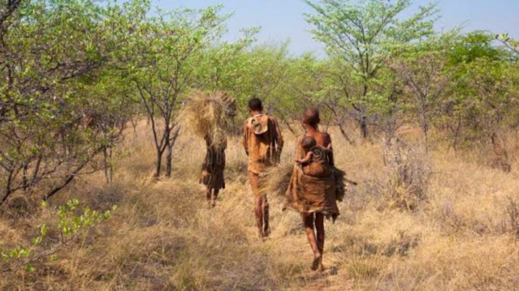 A Influência dos Khoisan na Baía de Jeffreys: Tradições, Cultura e Legado