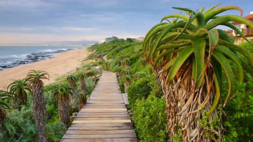 10 Experiências Imperdíveis para Quem Busca Adrenalina na Baía de Jeffreys Bay